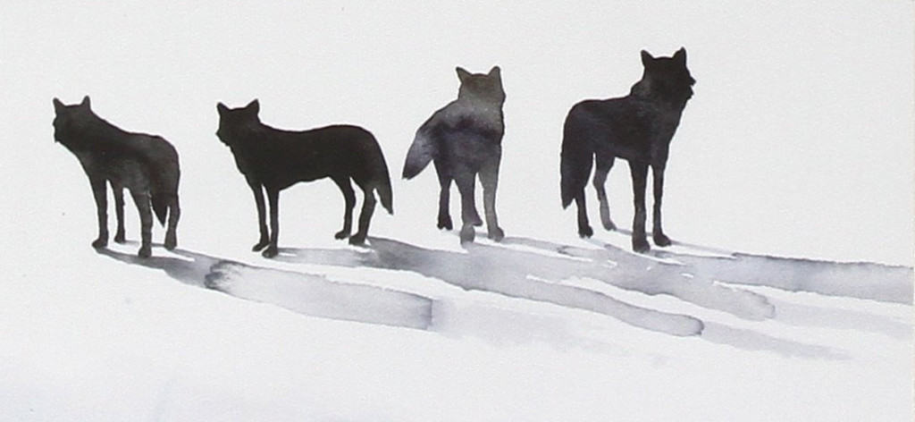 Il richiamo della foresta – Jack London (citazioni)