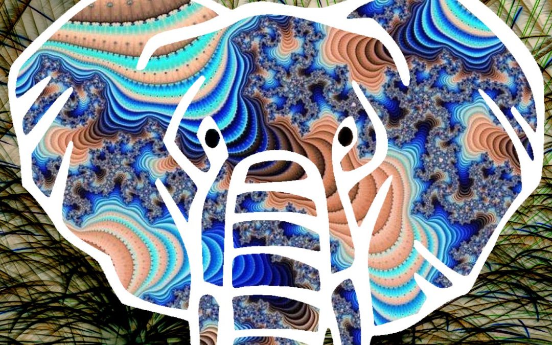 New entry fra i racconti brevi: Storia dell’elefante che alla fine scoppia