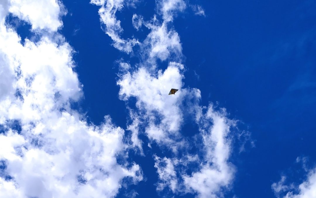 Diario dalignese 2021, pt. 1 di 2 + titoli di racconti brevi non (ancora?) scritti