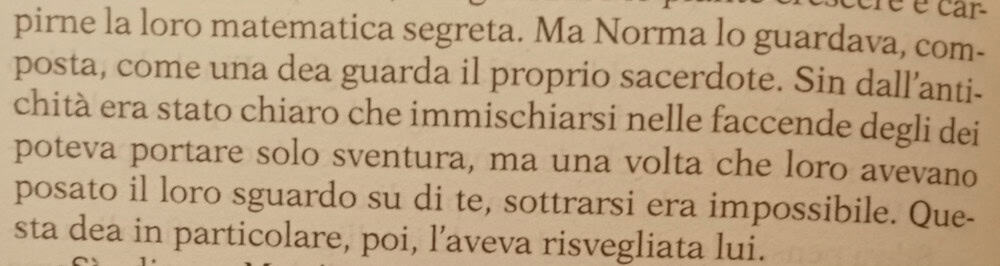 Ombre di sogni di stelle Citazione 6